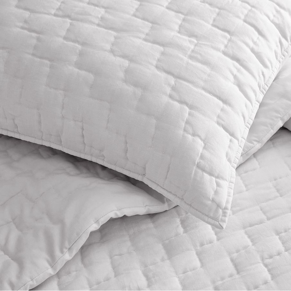 Pottery barn Bliss Euro Sham